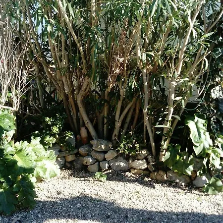 Le Pavillon בקתה *