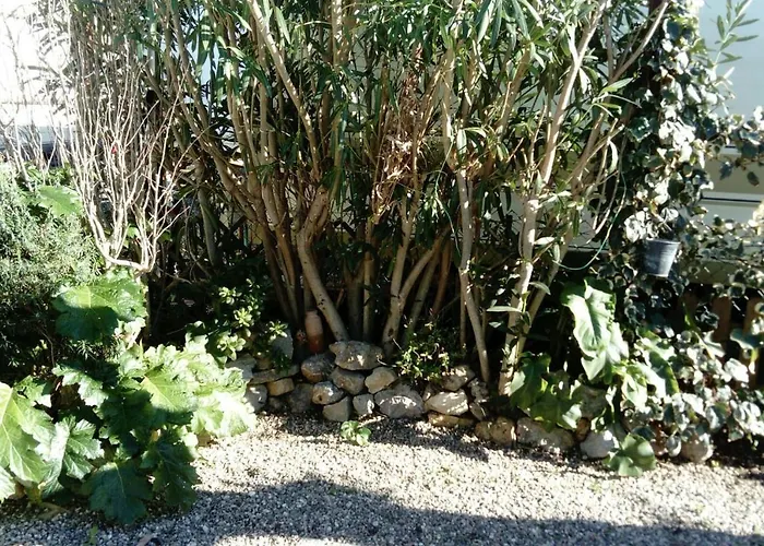 Le Pavillon شاليه *